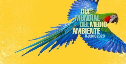 Dia reciclaje 2020