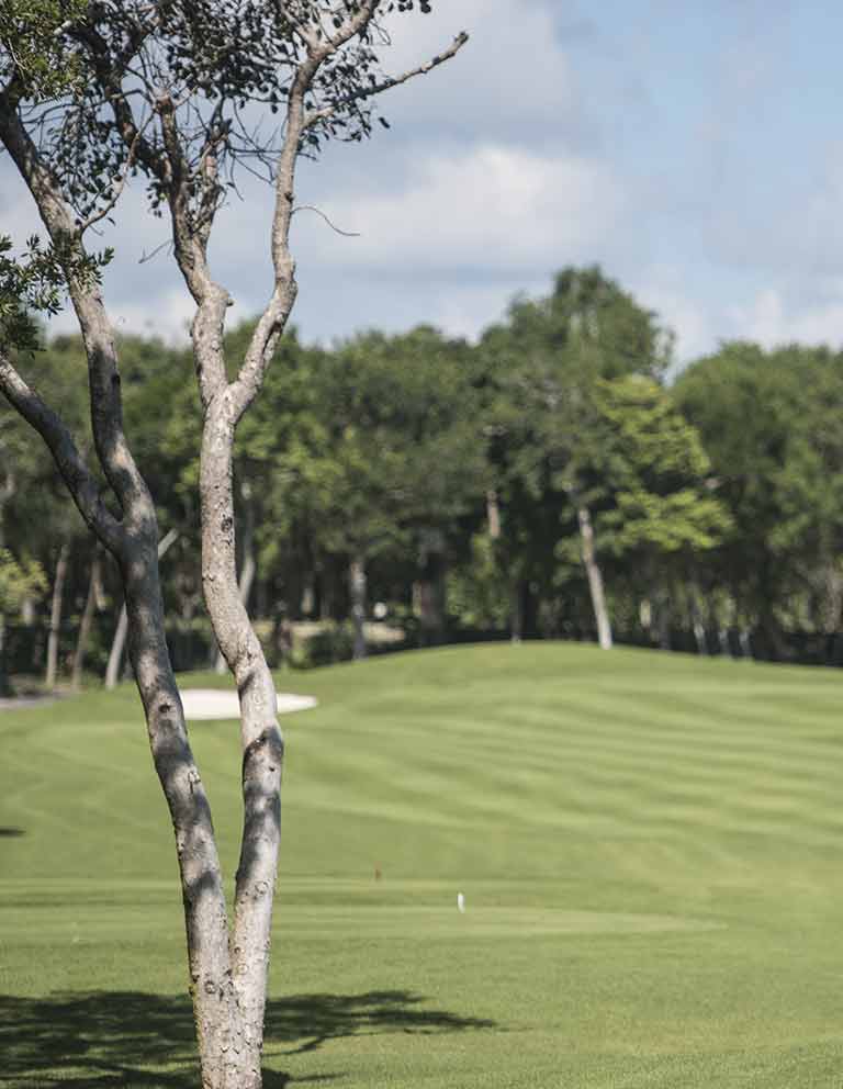 Imágenes del hoyo 2 para el campo de 18 hoyos de Golf Riviera Maya