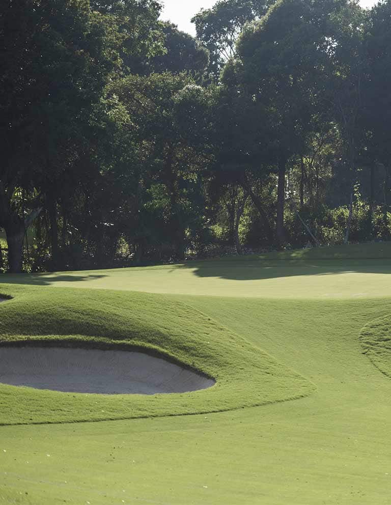 Imágenes del hoyo 2 para el campo de 9 hoyos de Golf Riviera Maya