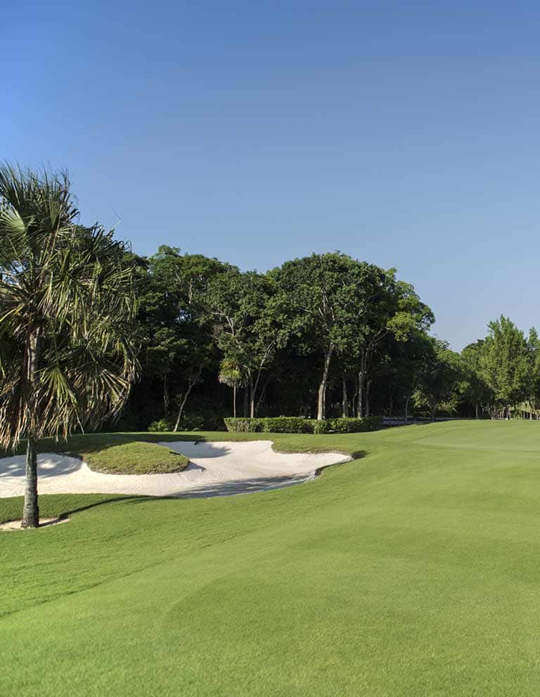 Imágenes del hoyo 3 para el campo de 9 hoyos de Golf Riviera Maya